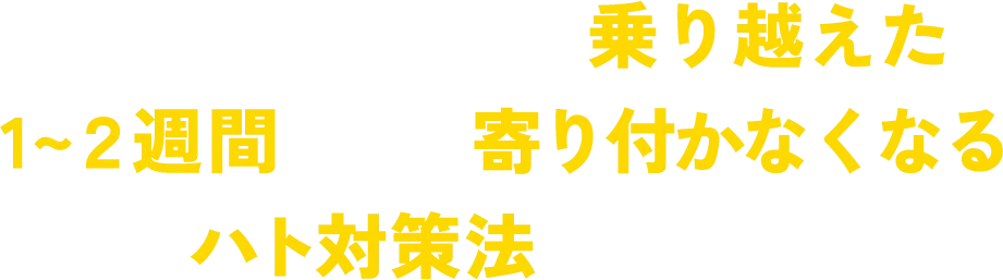 そのような従来の問題を乗り越えた1〜2週間でハトが寄り付かなくなるハト対策法があります！